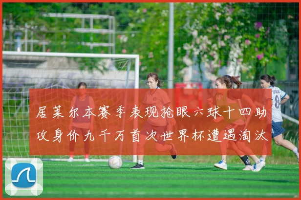 居莱尔本赛季表现抢眼六球十四助攻身价九千万首次世界杯遭遇淘汰